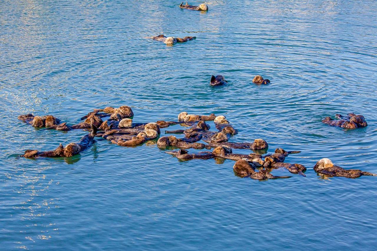 Verdon Oasis Morro Bay Luaran gambar